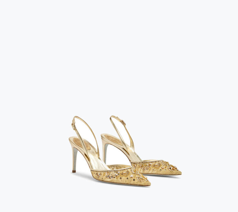 Rene Caovilla Aretha Classic 80 mm com renda dourada e bico fino salto alto C11737-080-PI01V188