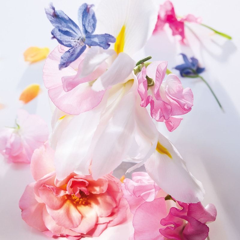 Dior Miss Dior Warm Florals 2021 New 3.4 Oz Women Eau De Parfum Spray