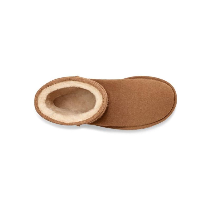 But Salji Wanita Kulit Berangan Klasik II Pendek UGG 1016223