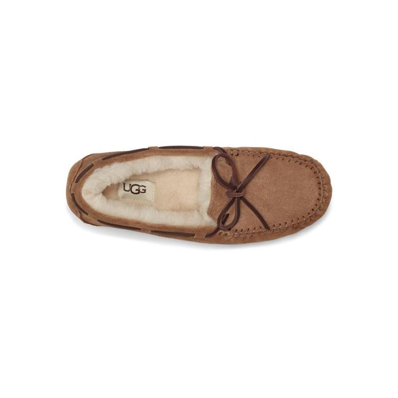 Pantofole da donna in pelle scamosciata impermeabile UGG Classic Dakota Hot Chestnut 1107949
