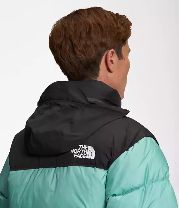 The North Face 1996 Retro Nuptse Hot Wasabi Goose Down Men Down Jacket Nf0a3c8d