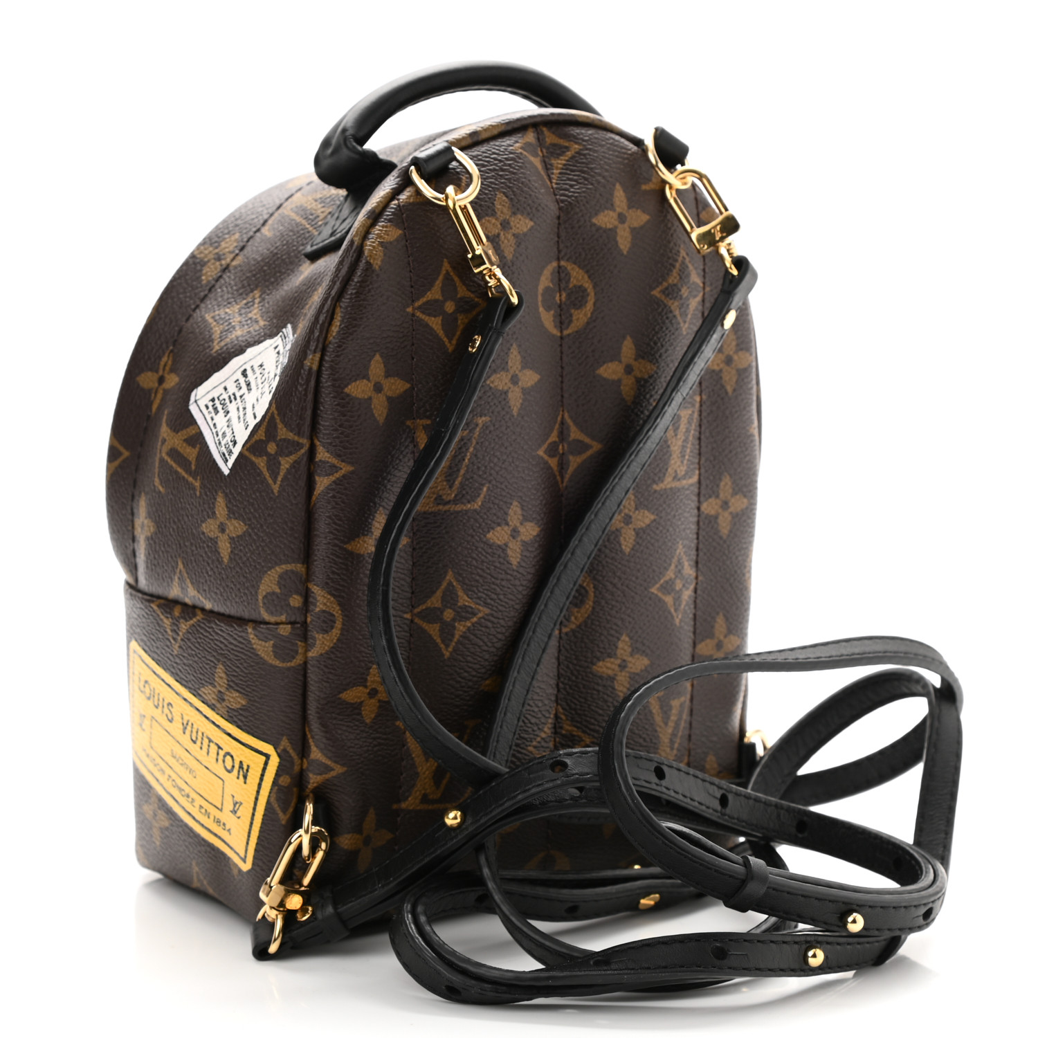 Louis Vuitton Monogram Classic My World Tour Palm Springs BB Zaino da donna in tela marrone M41562