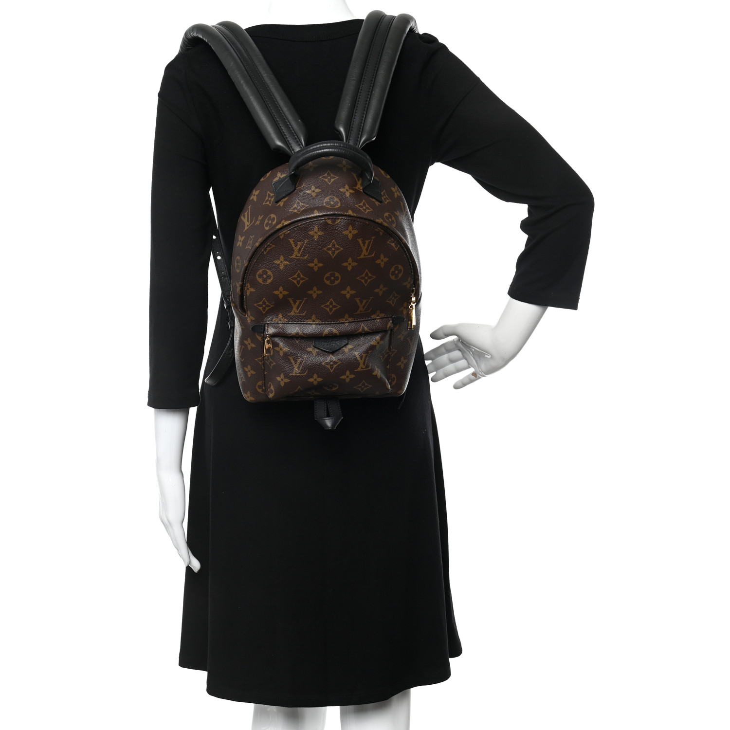Louis Vuitton Monogram Classic Palm Springs PM Brown Canvas Women Daypack M41560
