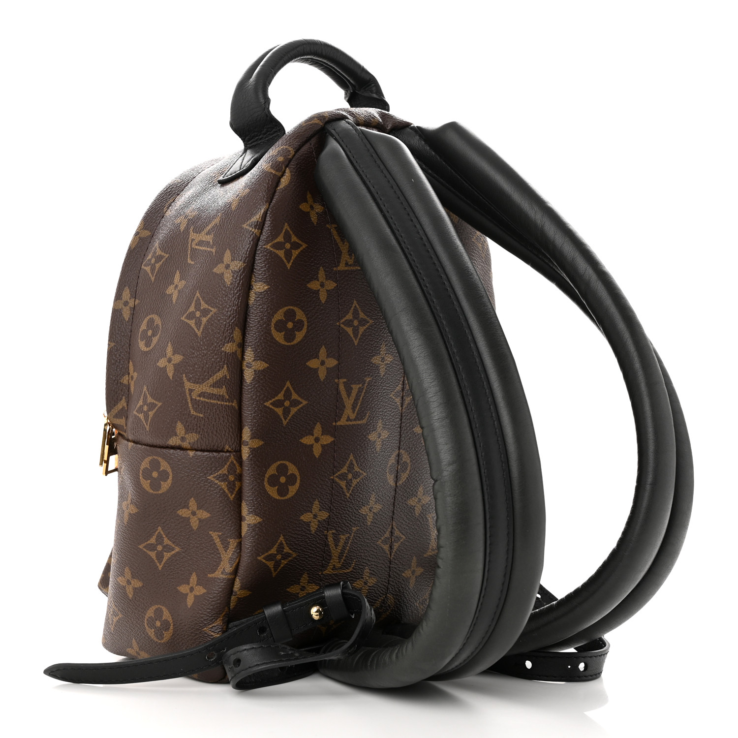 Louis Vuitton Monogram Classic Palm Springs PM Zaino da donna in tela marrone M41560