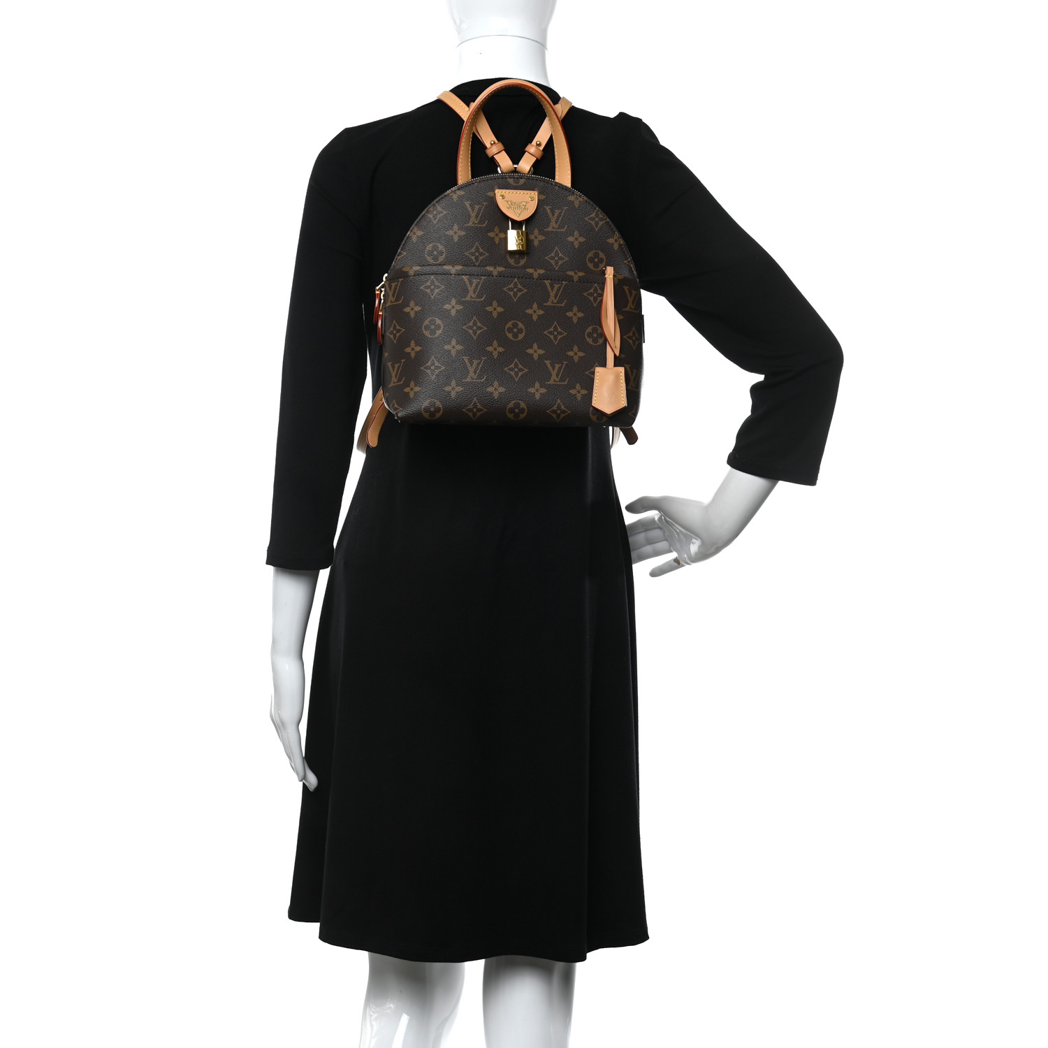 Louis Vuitton Monogram Classic Fashion PM Brown Canvas Women Tote Backpack M44677