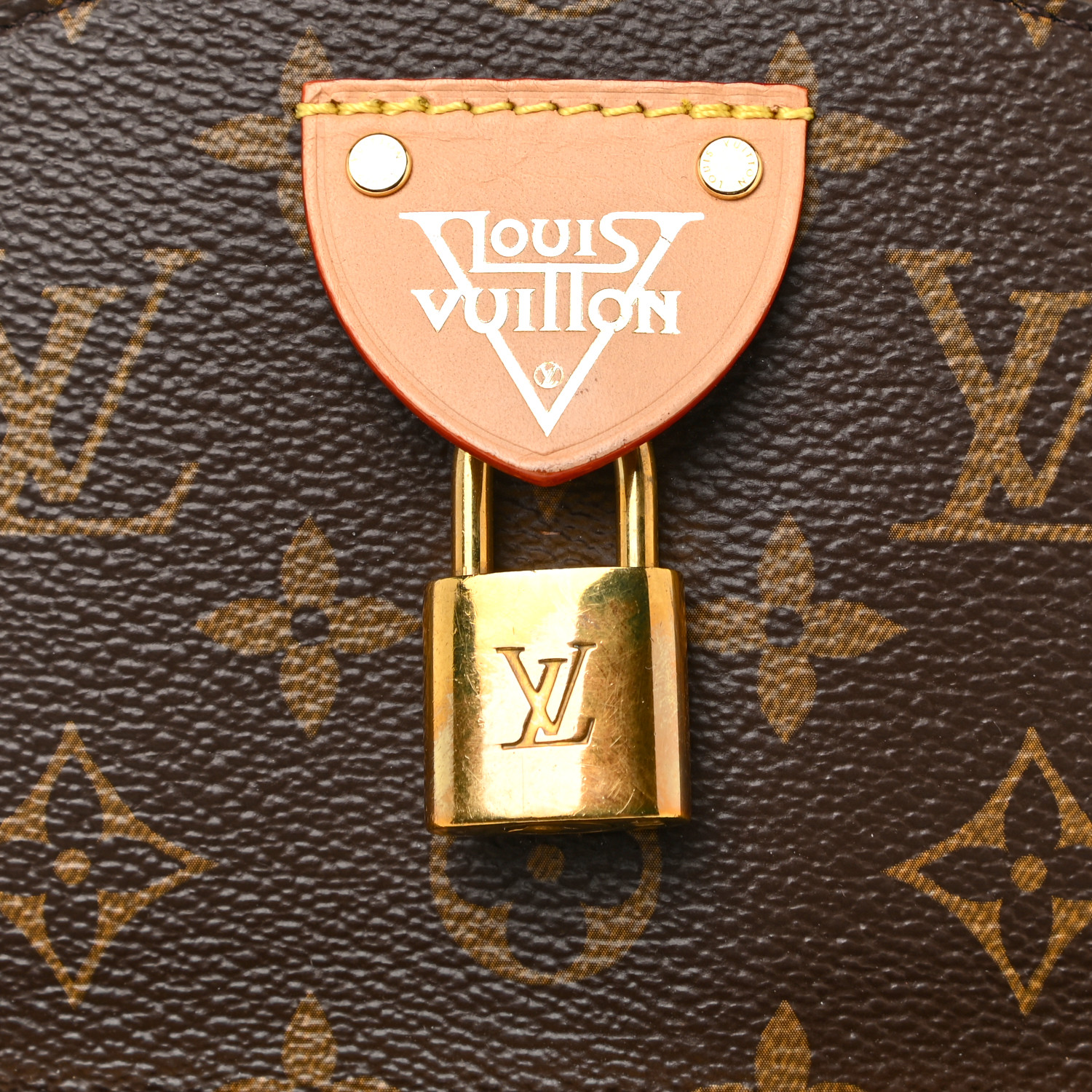 Louis Vuitton Monogram Classic Fashion PM Brown Canvas Women Tote Backpack M44677